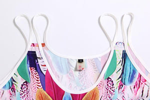 Hot Colorful Feather Dress